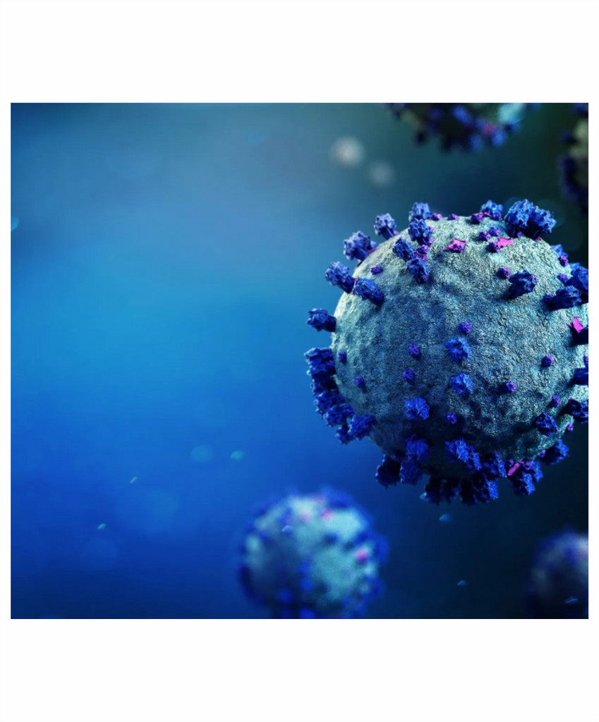 Sani-Spray Multisurface Disinfectant Kill List